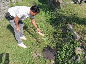 Heboh Tas Berbau Busuk Berisi Bangkai Anjing di Mataram Heboh Tas Berbau Busuk Berisi Bangkai Anjing di Mataram