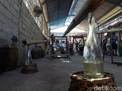Intip Proses Pembuatan Arak, Oleh-oleh dari Bali Utara