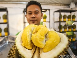 Durian RI Laris Manis di Singapura-Malaysia