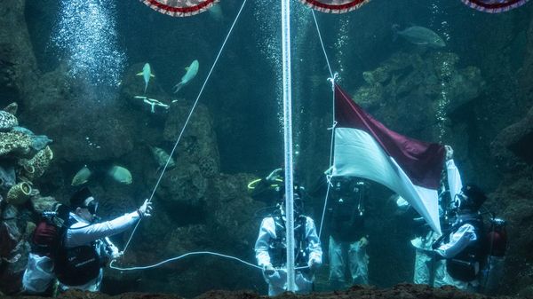 Bakal Ada Pengibaran Bendera di Bawah Air, Ini Potret Gladi Bersihnya