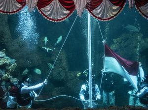 Bakal Ada Pengibaran Bendera di Bawah Air, Ini Potret Gladi Bersihnya