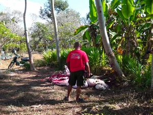 Maling Kerbau Sisakan Tulang dan Kepala Merajalela di Lumajang