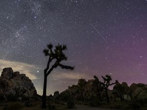 Apa Itu Fenomena Hujan Meteor Perseid yang Terjadi Dini Hari Tadi?