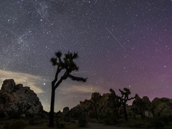 Apa Itu Fenomena Hujan Meteor Perseid yang Terjadi Dini Hari Tadi?