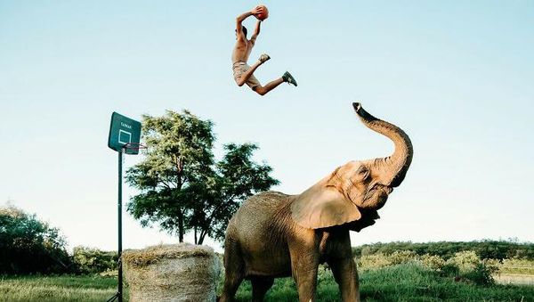 Foto Memukau Satwa Liar Karya Fotografer Seluruh Dunia Termasuk RI