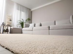 Karpet di Rumah Bisa Jadi Sarang Hama Berbahaya! Ini Cara Menanggulanginya Karpet di Rumah Bisa Jadi Sarang Hama Berbahaya! Ini Cara Menanggulanginya
