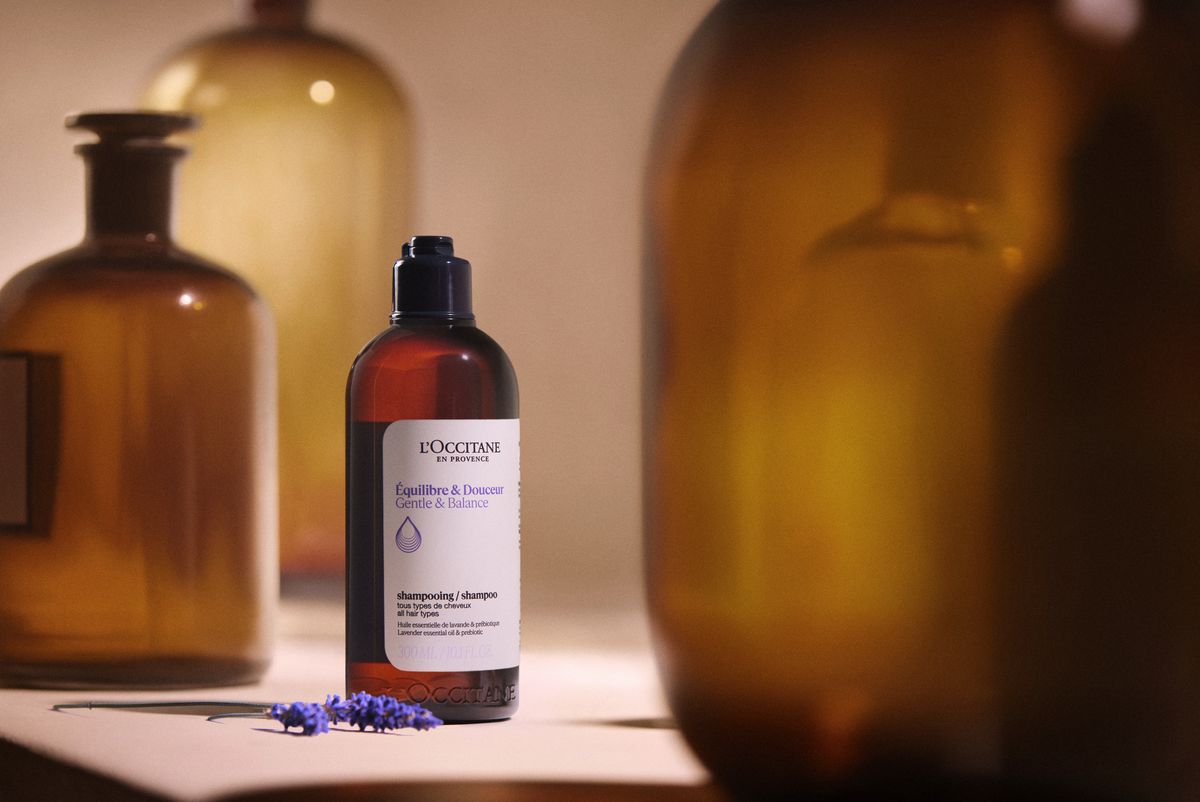 L'Occitane Gentle & Balance Shampoo and Conditioner