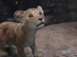 Pengisi Suara Darth Vader dan Mufasa Meninggal Dunia