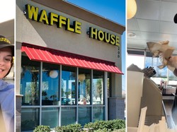 Pelayan Resto Ini Ungkap Tips Praktis Cuci Bersih Alat Makan