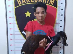 Pria di OKU Nekat Curi 5 Kambing Pak Kades