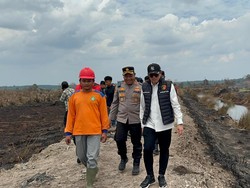 Lahan Terbakar Dekat Pipa Gas Petrochina di Tanjabbar Sudah Padam