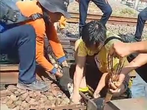 Sanca Besar Nyelip di Sela Rel KA di Matraman, Dievakuasi Ramai-ramai