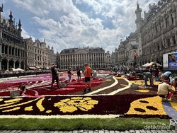 Pecinta Bunga Harus Datang Sih ke Belgia, Ada Karpet Bunga Raksasa