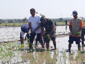 Kunjungi Boyolali, Wamentan Cek Pompanisasi-Dorong Produktivitas Padi