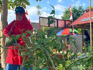 Warga Jupiter Bandung Manfaatkan Solar Cell untuk Berkebun Warga Jupiter Bandung Manfaatkan Solar Cell untuk Berkebun