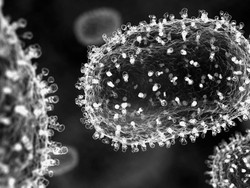 Fakta-fakta Monkeypox yang Jadi Darurat Kesehatan Global