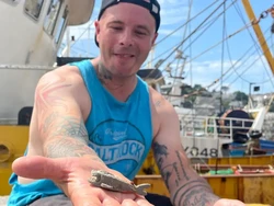 Jaring Ikan, Nelayan Malah Temukan Hiu Mainan Langka