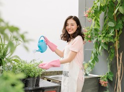 Takut Tanaman Layu Saat Mudik Nanti? Ini Tips Mudah Merawatnya