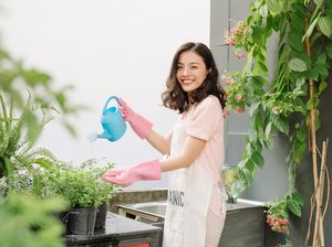 Air Hujan Bikin Tanaman Lebih Subur daripada Air Keran, Ini Alasannya Air Hujan Bikin Tanaman Lebih Subur daripada Air Keran, Ini Alasannya
