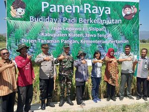 Pakai Sistem Tanam Si Jarwo, Hasil Panen Petani di Klaten Naik 15% Pakai Sistem Tanam Si Jarwo, Hasil Panen Petani di Klaten Naik 15%