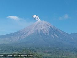 Gunung Semeru 3 Kali Erupsi Pagi Ini, Ketinggian Letusan hingga 700 Meter Gunung Semeru 3 Kali Erupsi Pagi Ini, Ketinggian Letusan hingga 700 Meter