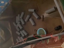 Viral! Kamar Kos di Malang Jadi Tambak Lobster, Penyewanya Nunggak 2 Bulan