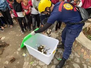 Sarang Ular Ditemukan di Taman SD Lubuklinggau Bikin Siswa Panik