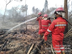 Karhutla Lempuing Capai 21,6 Hektare, Mop Up Diupayakan