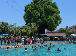 Peringati HUT Ke-79 RI, Umbul Pelem Tebar Uang Rp 2 Juta