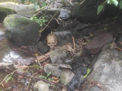 Geger Tengkorak Manusia Ditemukan di Pinggir Sungai Agam, Polisi Selidiki