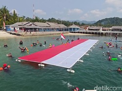 Keren! Perenang Antarpulau Bawa Bendera Merah Putih Pecahkan Rekor Dunia
