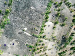 Lagi! 2 Kubur Batu Ditemukan di Paliyan Gunungkidul