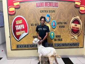 Erik Curi Kambing Rp 2,5 Juta di Prabumulih, Ditangkap Setelah 7 Bulan Erik Curi Kambing Rp 2,5 Juta di Prabumulih, Ditangkap Setelah 7 Bulan
