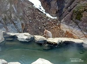 Menjelajahi 3 Ikon Wisata Prefektur Nagano, Ada Monyet Salju Menjelajahi 3 Ikon Wisata Prefektur Nagano, Ada Monyet Salju