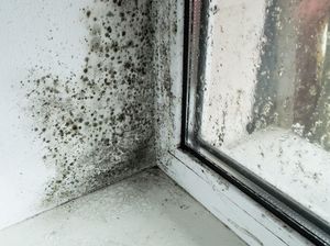 Hiii... Ternyata Ini Area Paling Jorok dan Penuh Jamur di Dapur Hiii... Ternyata Ini Area Paling Jorok dan Penuh Jamur di Dapur