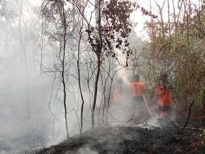 Karhutla di 3 Desa Ogan Ilir Sudah Padam, Tersisa Kepulan Asap