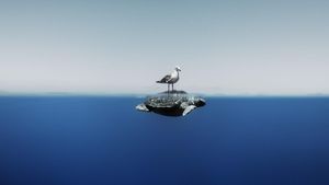 Karya Mencengangkan Finalis Ocean Photographer of The Year 2024