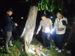 4 Warga di Labuhanbatu Tersambar Petir saat Lomba HUT RI, 1 Tewas-3 Luka 4 Warga di Labuhanbatu Tersambar Petir saat Lomba HUT RI, 1 Tewas-3 Luka