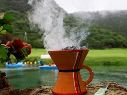 Kenapa Sumut Jadi Penghasil Kemenyan Terbaik di Dunia? Ini Alasannya