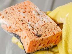 Penting! Jangan Lupa Selalu Mengganti 4 Alat Bersih-bersih Ini