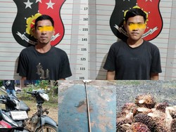 Kepergok Curi Sawit, 2 Pria di OKU Diamankan Polisi