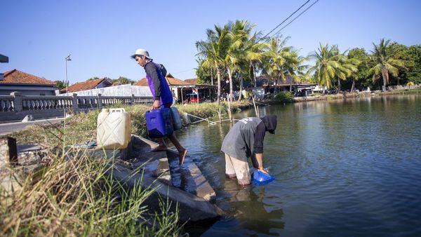 Air Kolam Jadi Andalan Warga Indramayu Saat Musim Kemarau