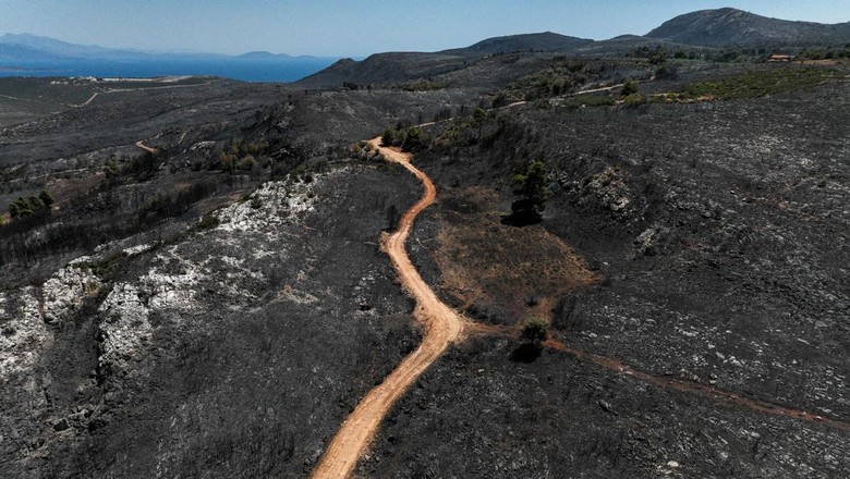 Hari Ke-10 Pemadaman Kebakaran Lahan Gambut di Riau