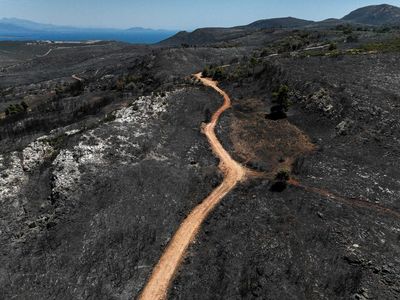Foto Udara Lahan Hangus di Pinggiran Athena Imbas Kebakaran Hutan