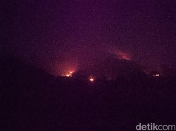 Gunung Guntur Garut Kebakaran!