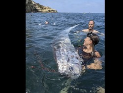 Munculnya Ikan Hari Kiamat yang Selalu Diiringi Mitos Mengerikan