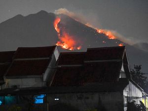 Penampakan Kebakaran Hutan di Gunung Merapi Ungup-ungup Banyuwangi Penampakan Kebakaran Hutan di Gunung Merapi Ungup-ungup Banyuwangi
