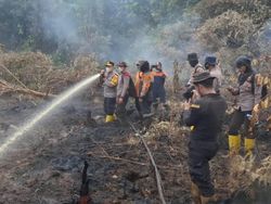 Siang-Malam Petugas Berjibaku Padamkan Karhutla di Inhu
