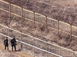Nekat! Tentara Korut Seberangi Perbatasan untuk Membelot ke Korsel Nekat! Tentara Korut Seberangi Perbatasan untuk Membelot ke Korsel
