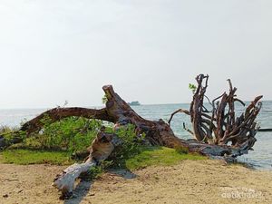 Pesona Kepulauan Seribu: Pantai Cantik hingga Benteng Bersejarah Pesona Kepulauan Seribu: Pantai Cantik hingga Benteng Bersejarah